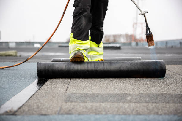 Best Roof Maintenance and Cleaning  in Calumet Park, IL